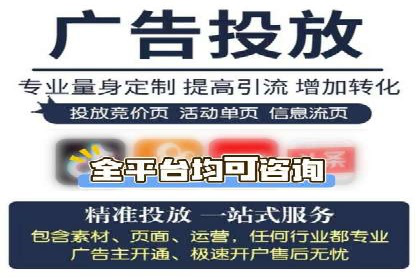 企业SEM服务实战案例解析